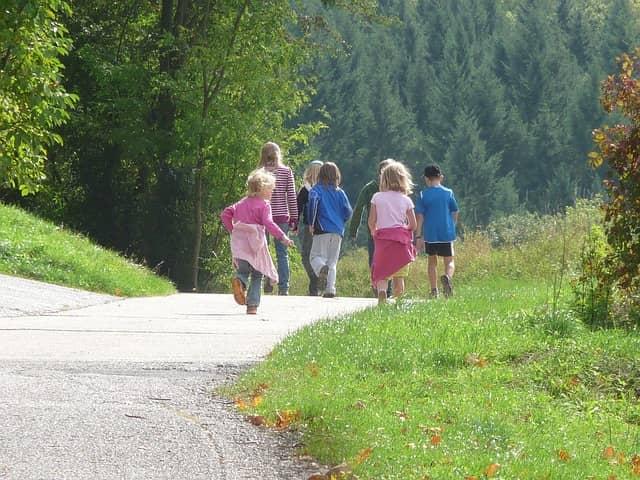 The history of environmental education, its importance, and objectives cover picture
