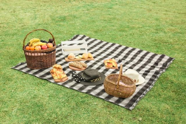 Activities to Do on a Picnic cover picture