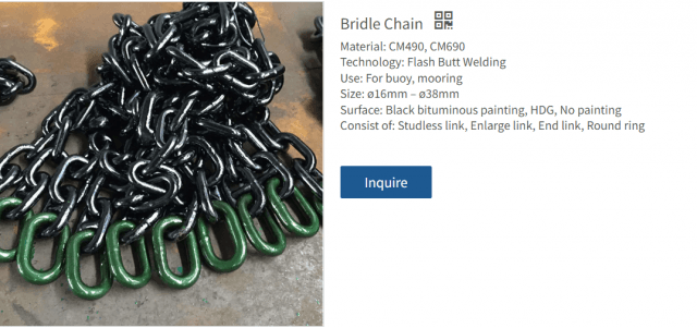 Bridle Chain Essentials: How to Choose, Use, and Maintain the Best Fit for Your Horse cover picture