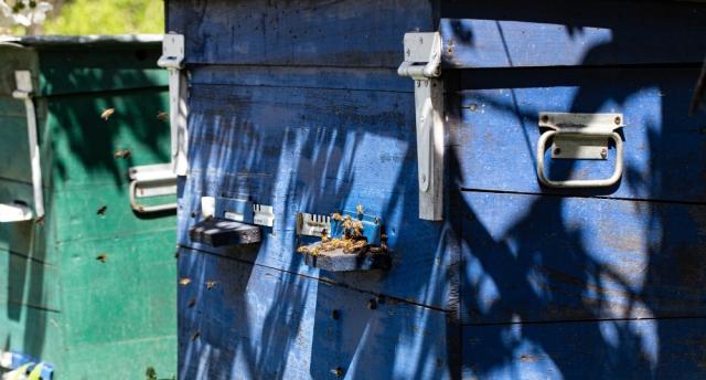 Small Dumpster Rentals for Garage Cleanouts cover picture