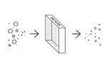Is Mold Eliminated by Air Purifiers? cover picture