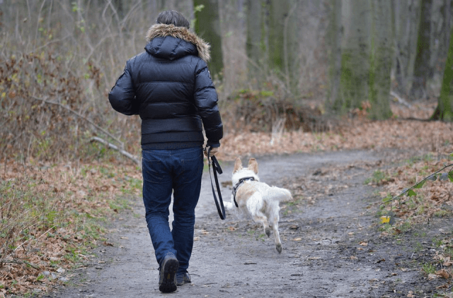 12 Dog Grooming Tips for Beginners cover picture