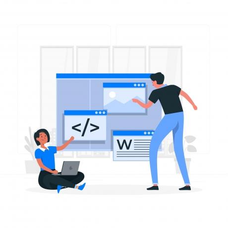 Custom WordPress Development Services in the USA cover picture