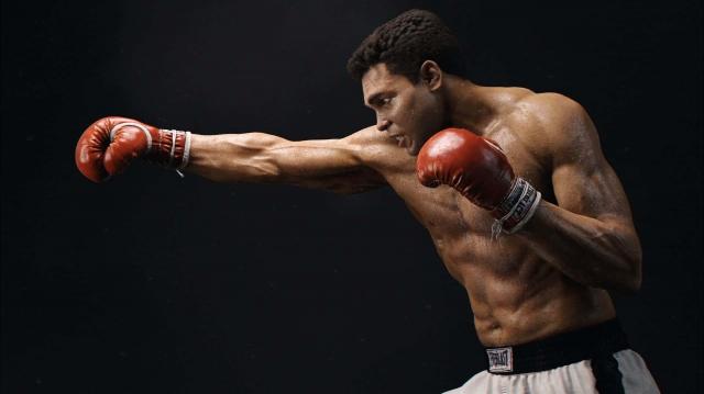 Bringing the Ring to You: TotalSportek Boxing Live cover picture