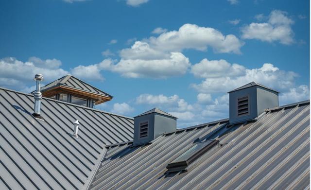 Exploring the Diversity of Metal Roof Panels: A Guide to Choosing the Right Style for Your Home cover picture