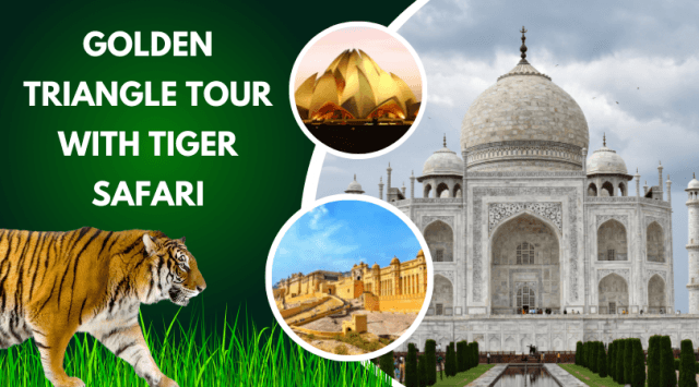 10 Best Tiger Safari in India cover picture