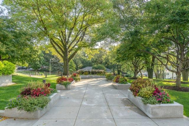 5 Steps Involved in a Landscaping Overhaul cover picture
