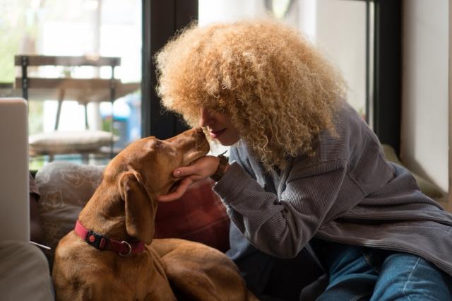 Beginner's Dog Care Guide