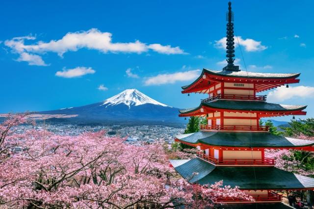 Exploring the Unique Aspects of Tokyo Internship Life cover picture