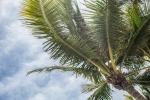 Why Florida Might Be the Next Best Place for Businesses cover picture