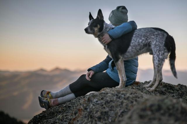 How Do You Show Love to Your Pets? Six Heartwarming Ways to Pamper and Keep Them Healthy cover picture