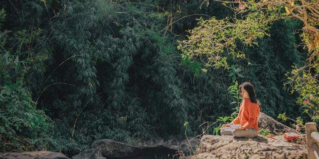 Ready for Whole Wellness? Here's How to Embrace a Holistic Lifestyle for Mind, Body, and Spirit cover picture