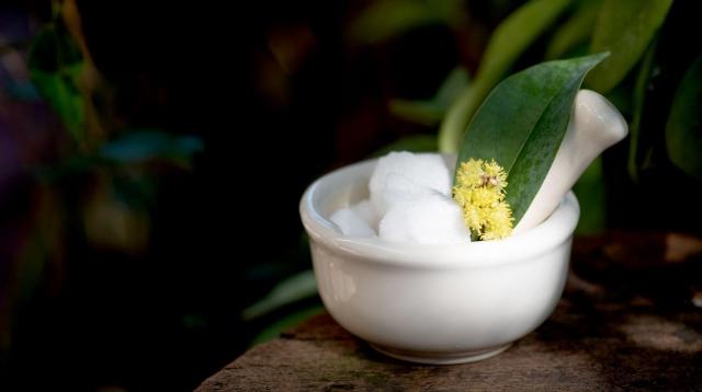Camphor Essential Oil Uses cover picture