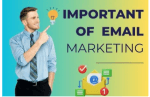UAE Email Marketing Services | Top Digital Marketing Agency cover picture