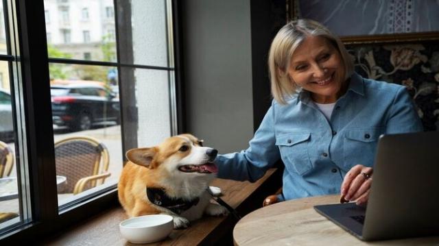 The Online Vet Resources: Educating Professionals in Animal Care cover picture