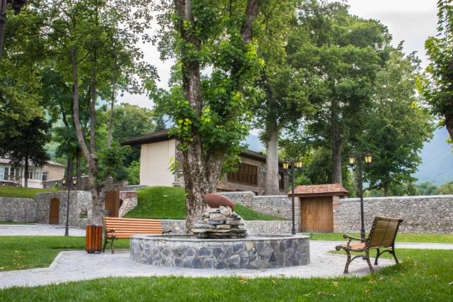 Why Sometimes You Still Need Grass: The Enduring Importance of Turf in Modern Landscaping cover picture
