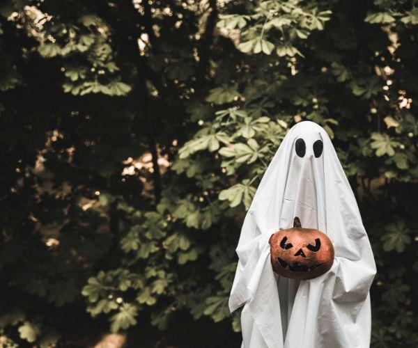 Salem Ghost Tours: A Mix of Adventure and Scary History cover picture