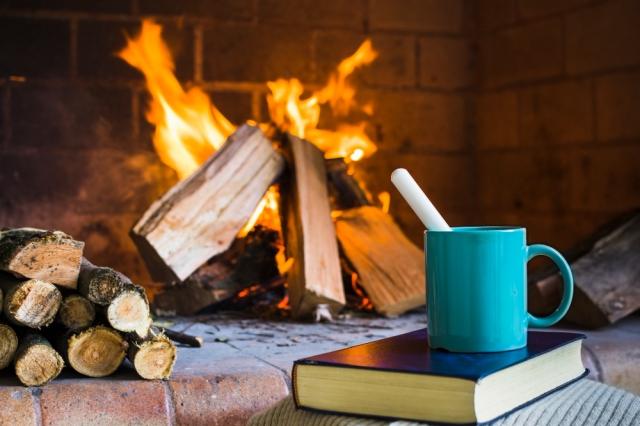 How to keep your four-legged friend warm this winter cover picture