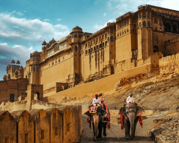 Discover the Wonders of Yoga, Elephants, and More: Your Ultimate Guide to Budget Travel in India cover picture