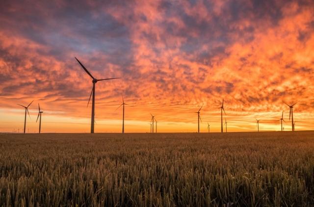 What are the environmental impacts and impact assessment? cover picture