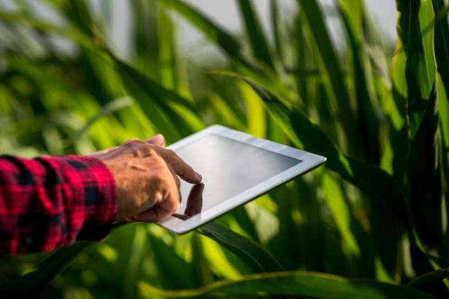 Top 5 Advantages of Farm Security Cameras cover picture