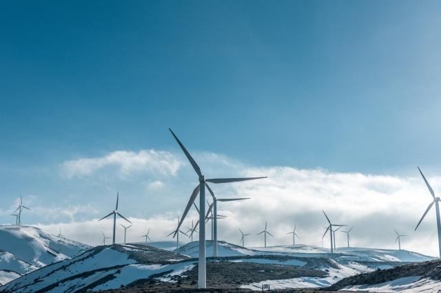 Sustainable Technology: Outsourcing's Role in Building Greener Solutions cover picture
