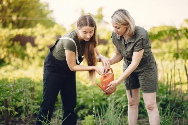 Creating a Garden That You Love cover picture
