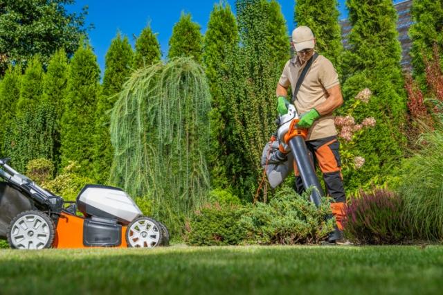 Lawn Master Services: 10 Tips for a Lush, Vibrant Lawn cover picture