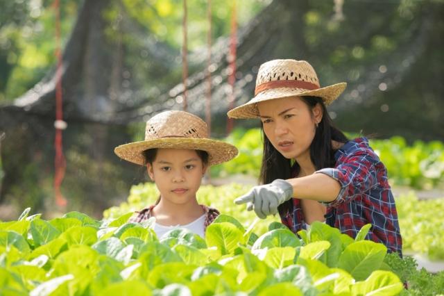 Optima Tax Relief Reviews the Tax Benefits of Hiring Your Children for Work This Summer cover picture