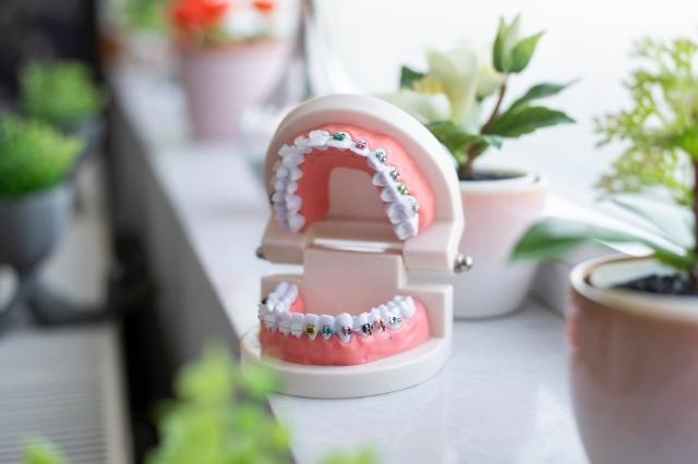 Why Choosing the Right Dentist is Important cover picture