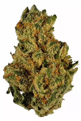 Understanding Grease Monkey Weed: A Canadian Perspective cover picture