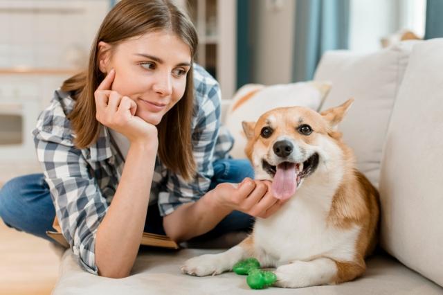 What To Do After A Dog Bites You: Aftercare & Causes cover picture