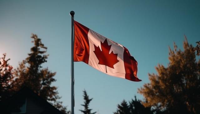 Difference Between Federal and Provincial Incorporation in Canada cover picture