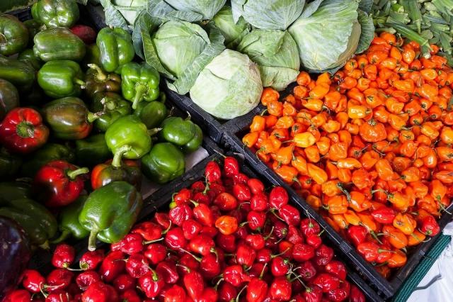 Why Choose Organic Snacks for Your Family? cover picture