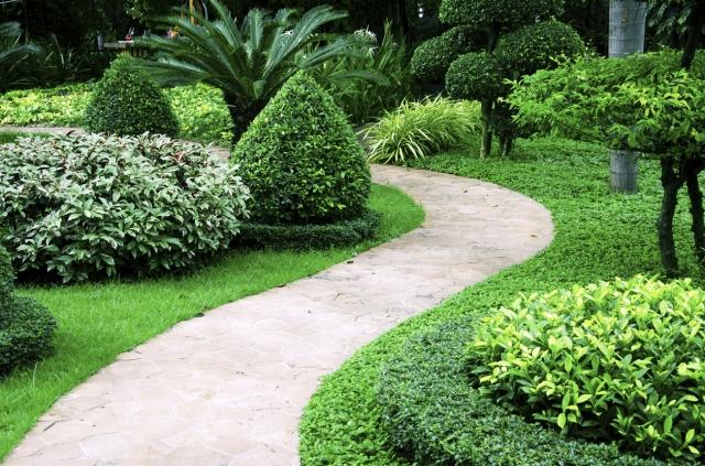 Unlock the Best Lawn Care Services in Idaho cover picture