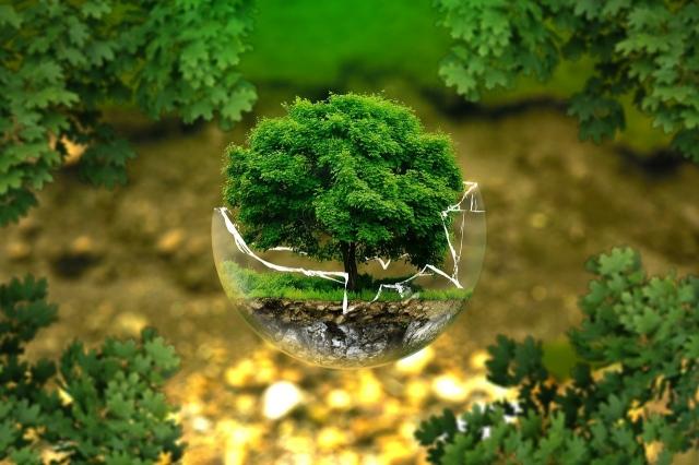 Environment artist jobs; description and responsibilities cover picture