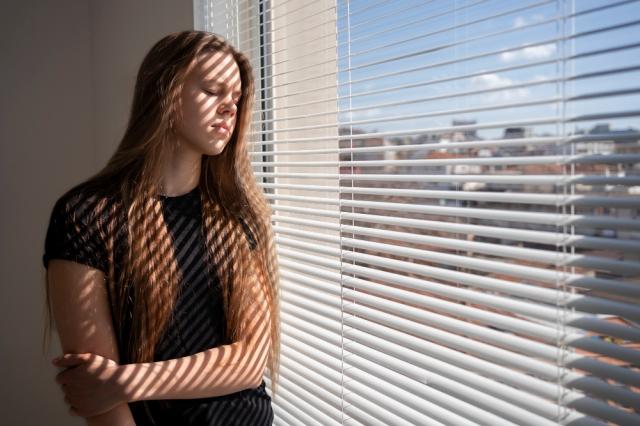 How Much Impact Do Roller Shades Make On Protection From Florida Sun Heat? cover picture