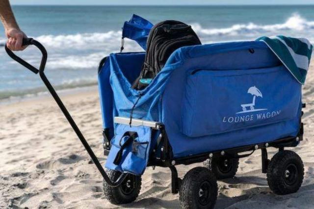 Buy the best-quality beach trolley cart  cover picture