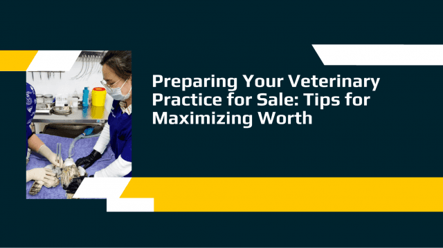Preparing Your Veterinary Practice for Sale: Tips for Maximizing Worth cover picture