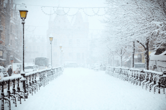 Maintaining a Cozy Home During Cold Months cover picture