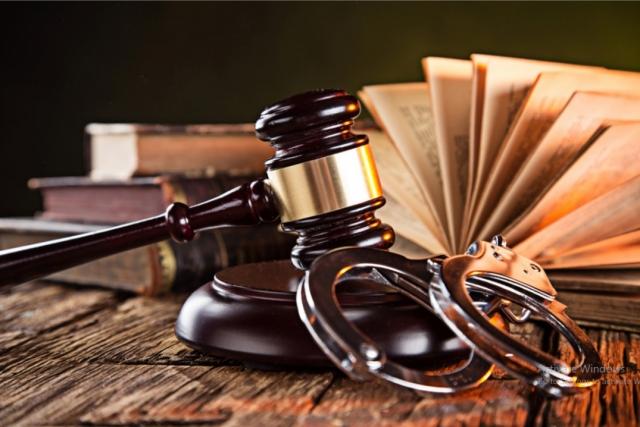 The Essential Elements of Canadian Criminal Law cover picture
