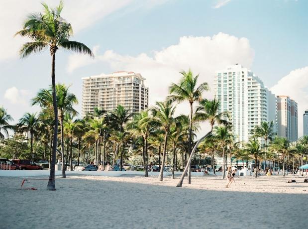 Navigating Airbnb Regulations in Miami: Essential Insights for Prospective Hosts cover picture