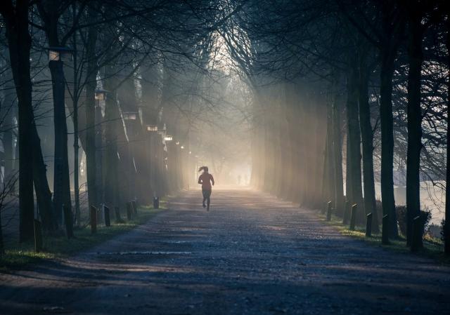 Energize Your Workout: Sustainable Energy Tips for Gym Enthusiasts cover picture