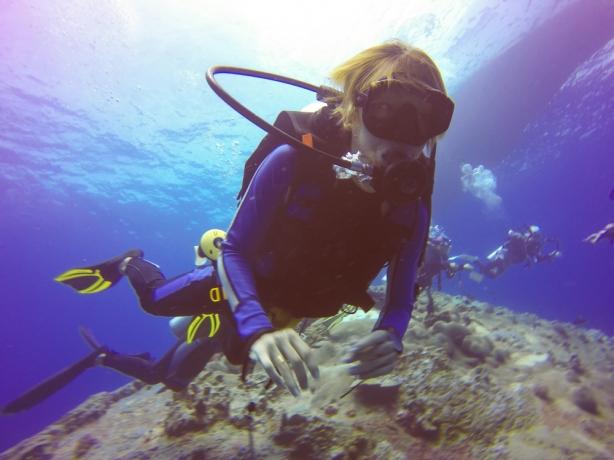 Gear Up for the Sea: Essential Equipment Every Snorkeler Should Have cover picture