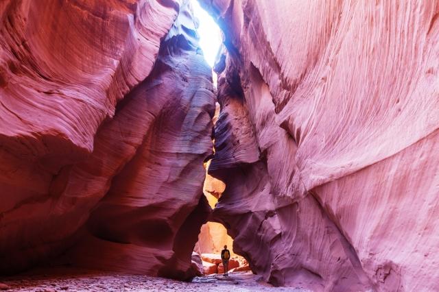 Things to Do on Your Grand Canyon Vacation cover picture