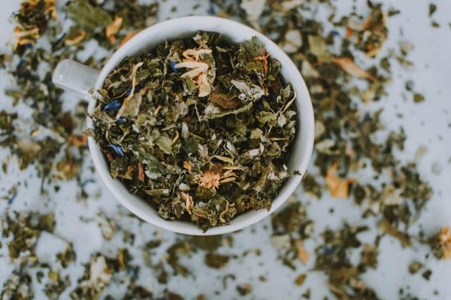 From Root to Remedy: An Introduction to Herbal Medicine Practices cover picture