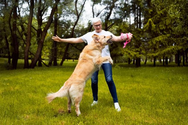 Get Moving with Active Dogs: A Guide to Finding Your Next Best Friend in Ireland cover picture
