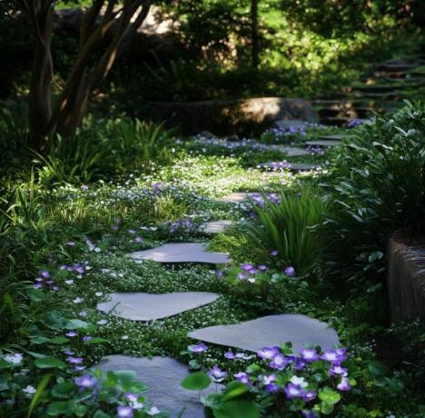 Creating Sustainable Gardens with Native Australian Plants cover picture