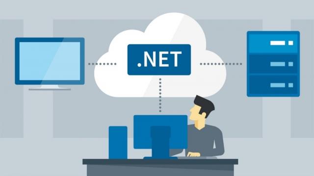 Why You Should Hire .Net Developers for Your Web Development Projects cover picture