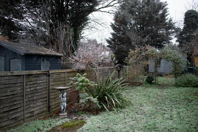4 Reasons to Spend Time in Your Garden During the Winter cover picture